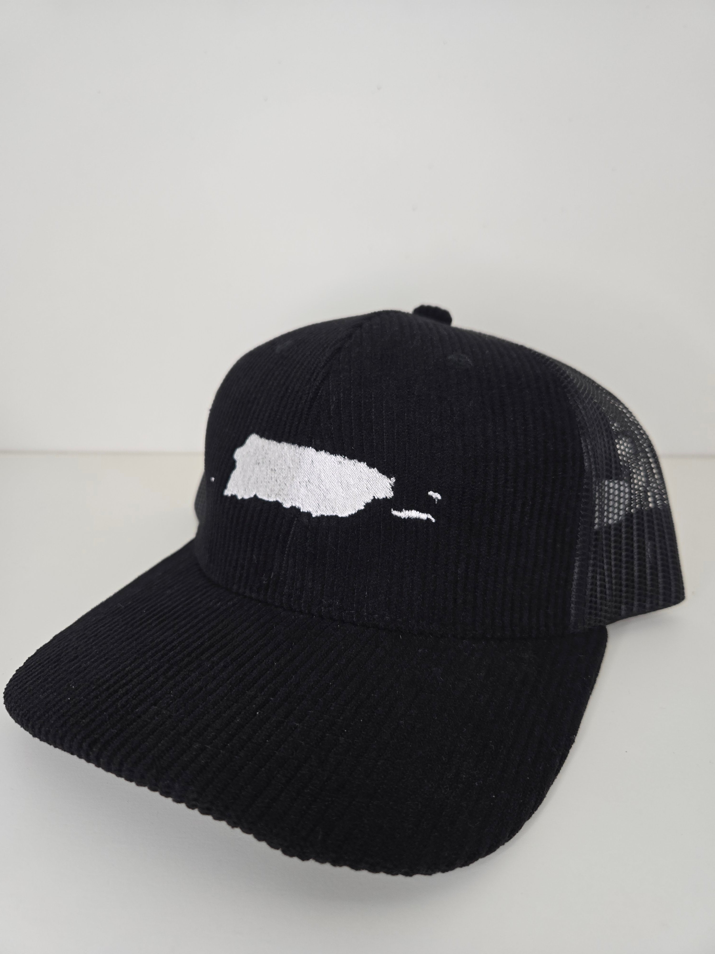 Corduroy 100x35