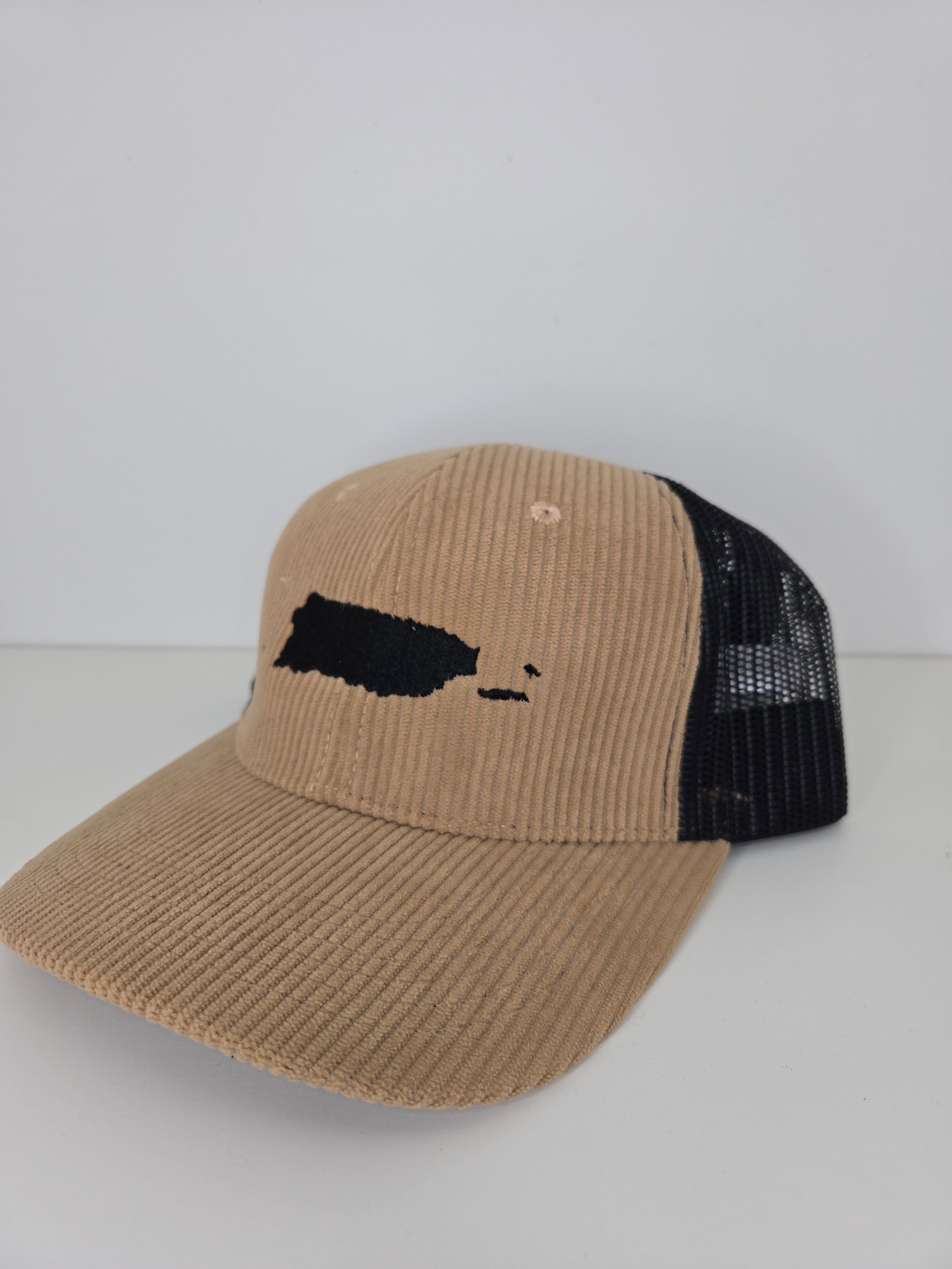 Corduroy 100x35